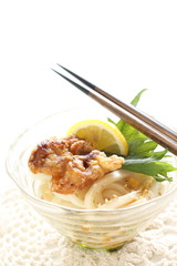 Japanese food, fried chicken and cold udon noodles