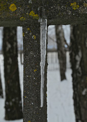 Frozen ice crystal hanging from fence