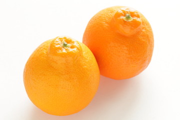 Freshness orange from Japan