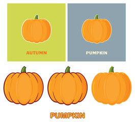 Pumpkin Vegetables Cartoon Design Style. Vector Collection Isolated On White Background