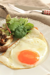 Sunny side up fried egg served with shimeji mushroom sauteed