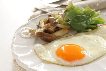 Sunny side up fried egg served with shimeji mushroom sauteed