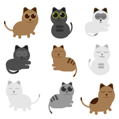 colection set cat happy