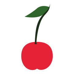 sweet cherry fruit icon vector illustration design