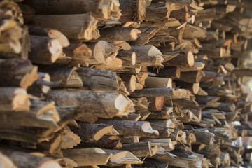 Pile of firewood,Stacks of dry firewood for the winter.