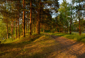 Summer sunset on the Bank of the quarry. The fading light of the sun.