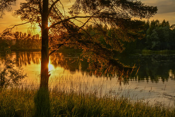 Summer sunset on the Bank of the quarry. The fading light of the sun.