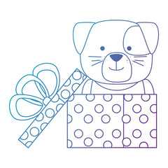 cute dog in gift character vector illustration design