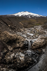 Top of Mt.Fuji with snow and Mt.Fuji natural recreation forest trail in spring