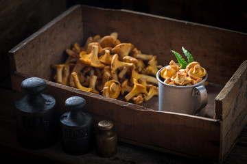 Edible chanterelles straight from the forest in wooden box