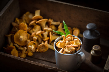 Healthy chanterelles straight from the forest in wooden box