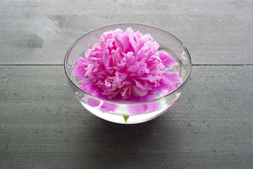 Obraz na płótnie Canvas floating flower at aroma bowl on black wooden table