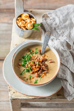 Delicious and homemade mushrooms soup made of fresh chanterelles