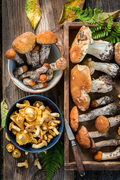Edible wild mushrooms from the forest to the table