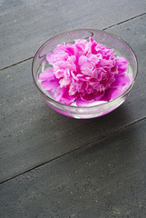 floating flower at aroma bowl on black wooden table