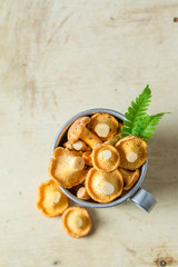 Closeup of wild chanterelles freshly harvested from the forest