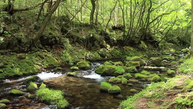 渓流　川の流れ　夏　日本の風景
