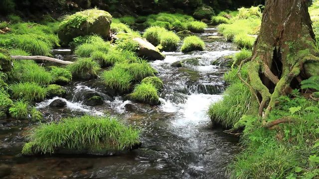 渓流　川の流れ　夏　日本の風景