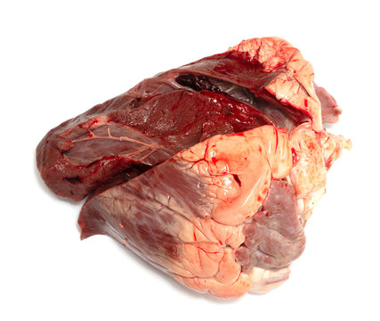 heart beef meat on white background