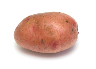 potato tuber on white background