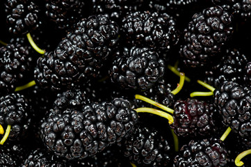 Black mulberry juicy sweet and tasty close-up shot