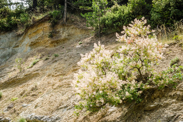 Canyon River Enipeas on Mount Olympus near the village of Litochoro in Greece 