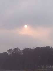 Said us Good Buy for Today