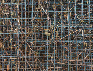 Matal industry grid fence pattern with natural brown weeds