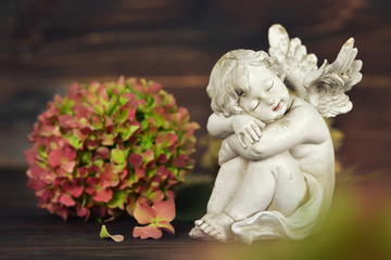 Angel and hydrangea flower
