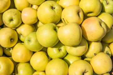 yellow apples close up background in summer day