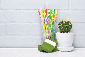 Small cactus in white flower pot, green gift box and colorful cocktail straws in glass as attributes of party