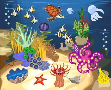 Ecosystem of coral reef with different marine inhabitants