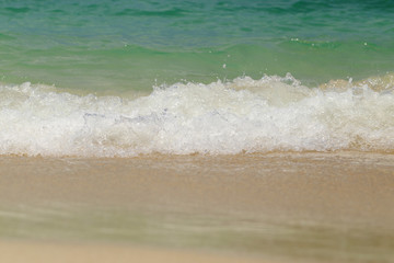 Fototapeta na wymiar Wave of the sea swashing up onto sand beach, summer background.