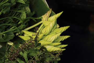 Obraz premium Green flowers vegetables in asian fresh food local market.