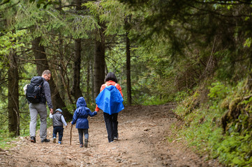 Forest Family Walk