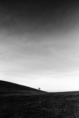 A distant, lonely tree on a bare hill, beneath a big sky with white clouds