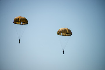 Normandie 6 Juin - Parachutiste