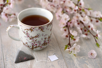 A mug of tea and a tea bag surrounded by apricot branches. Flowering branches of apricot tree and fragrant tea with a tea bag create a spring mood.