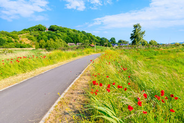 Cycling path from Baabe to Moritzdorf village in countryside spring landscape with poppy flowers blooming on meadow, Ruegen island, Baltic Sea, Germany