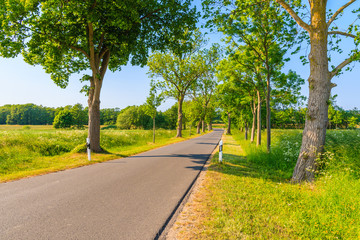 Fototapeta na wymiar Cycling road to Seedorf village in countryside spring landscape with trees on roadside, Ruegen island, Baltic Sea, Germany