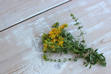 Yellow St. John's wort flowers
