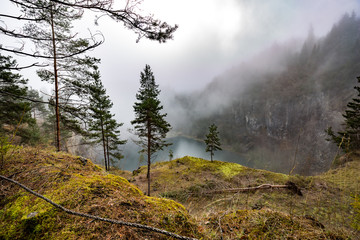 Schwarzwald Landschaft