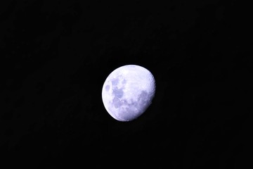 Beautiful moon