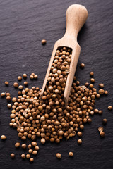 coriander seeds on a dark stone background, essential oil