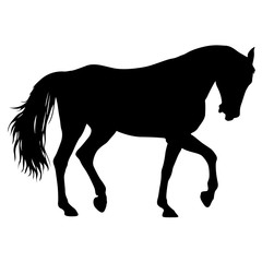 Animal silhouette of black mustang horse illustration