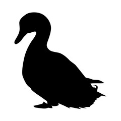 Silhouette bird goose on a white background