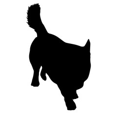 Welsh Corgi dog silhouette on a white background