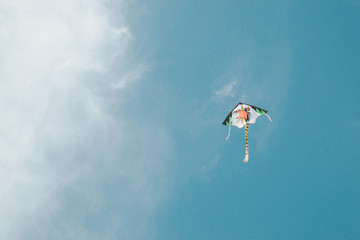 Fototapeta na wymiar kites