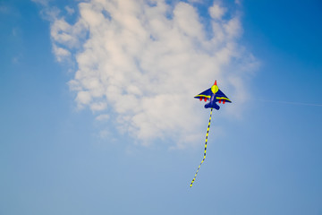 kites