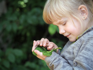 A little girl examines the insect caterpillar.